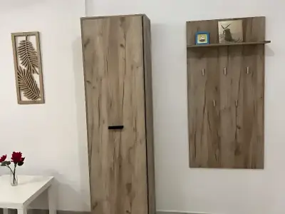 Garsoniera inchiriere Sector 4 Bucuresti hol elegant cu vaza